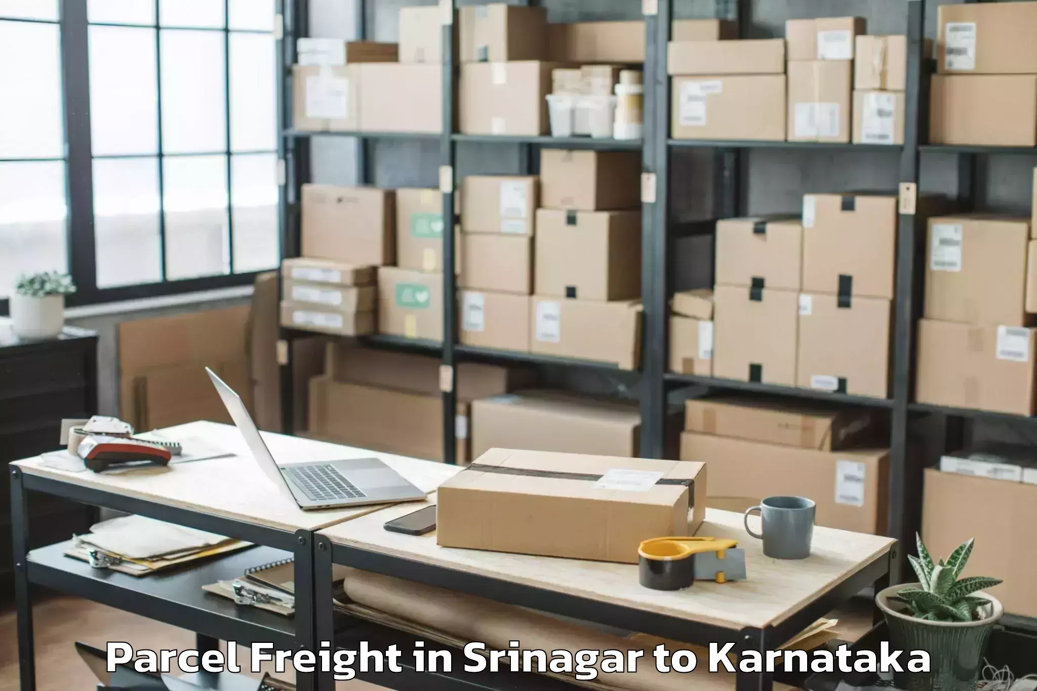 Reliable Srinagar to Honnali Parcel Freight